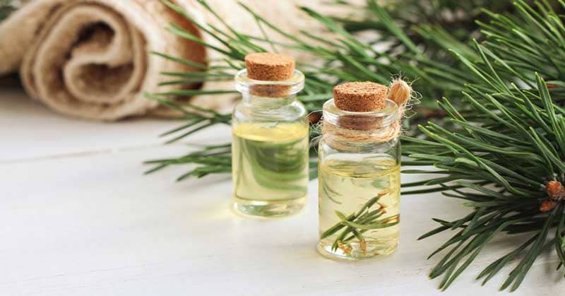 Essential Oils Pine